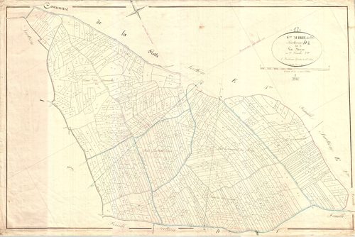 Sainte-Marie-de-Ré - Section D2 dite de la Noue. [document en mauvais état]
