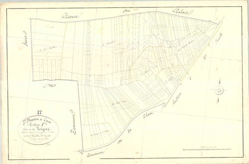 Saint-Martin-de-Coux - Section C1 dite de la Vergne.