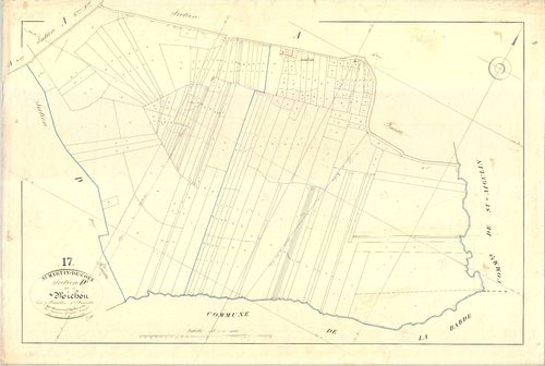 Saint-Martin-de-Coux - Section D1 dite de Michou.