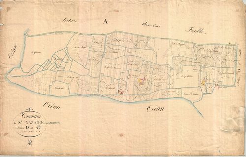 Saint-Nazaire-sur-Charente - Section D1 (sans nom).