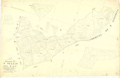 Saint-Palais-sur-Mer - Section A2 dite de la Forêt.