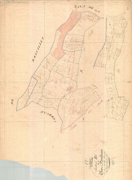 Saint-Palais-sur-Mer - Section B1 dite de chez Douteau.
