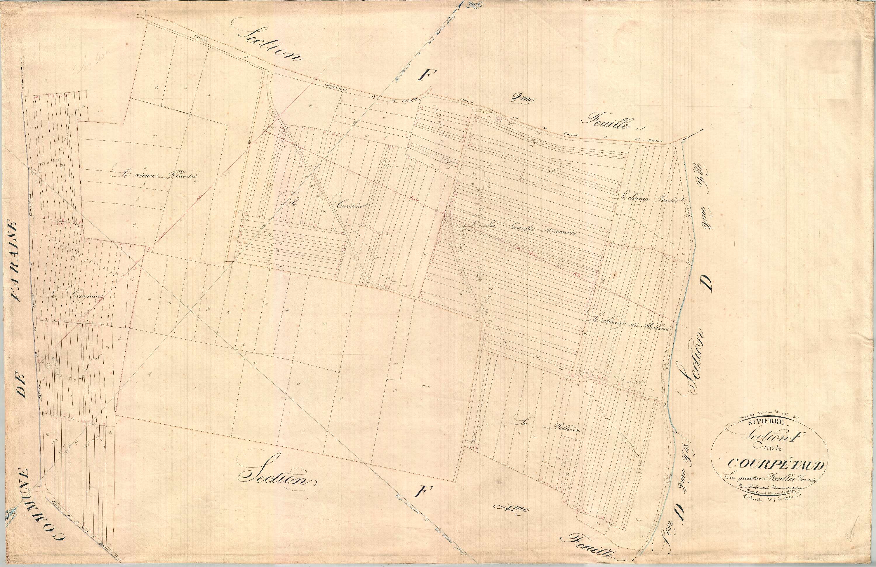 Saint-Pierre-de-Juillers - Section F1 développement 3 dite des Courpétauds.