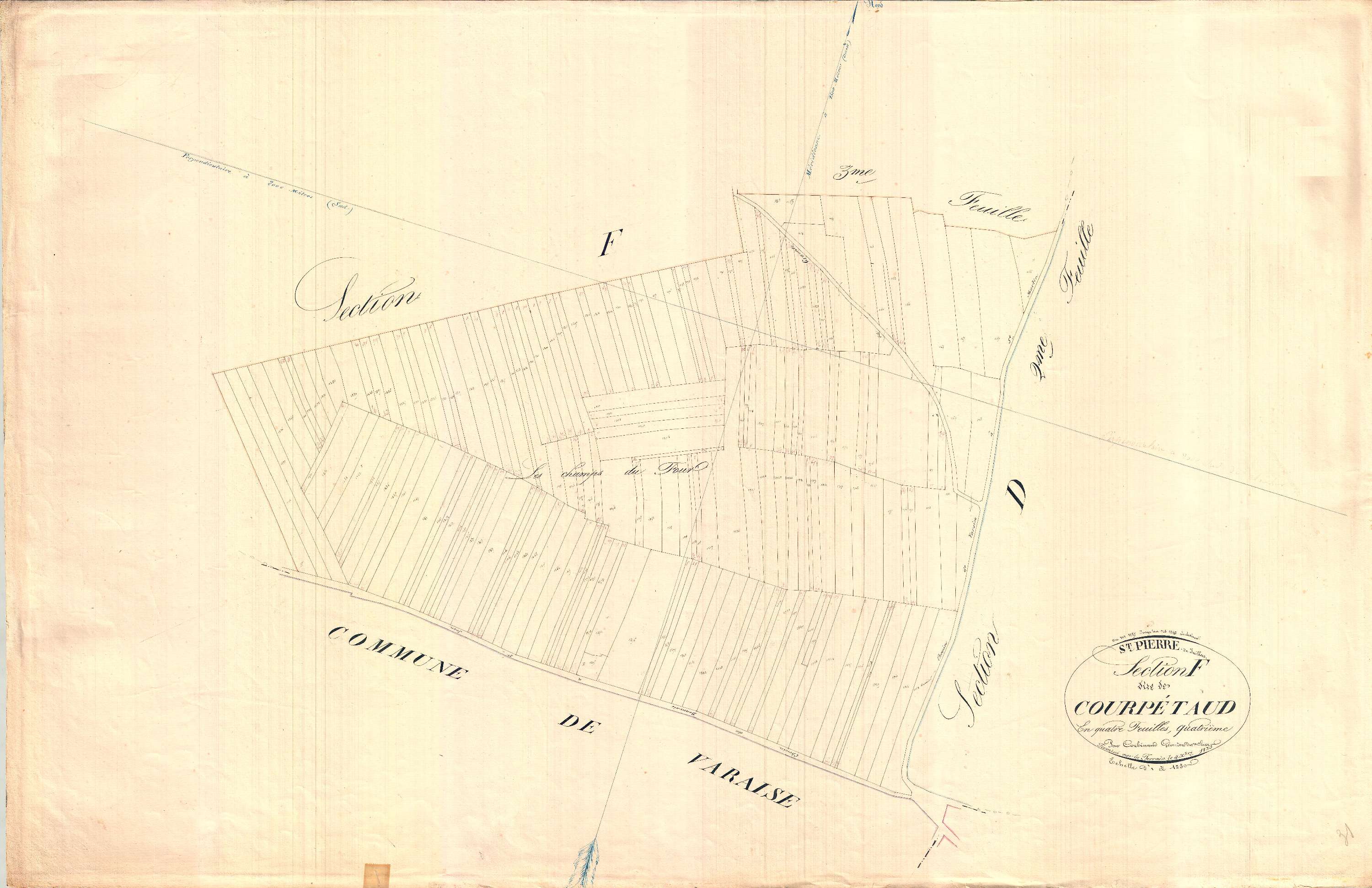 Saint-Pierre-de-Juillers - Section F1 développement 4 dite des Courpétauds.