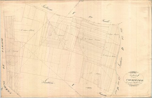 Saint-Pierre-de-Juillers - Section F1 développement 3 dite des Courpétauds.