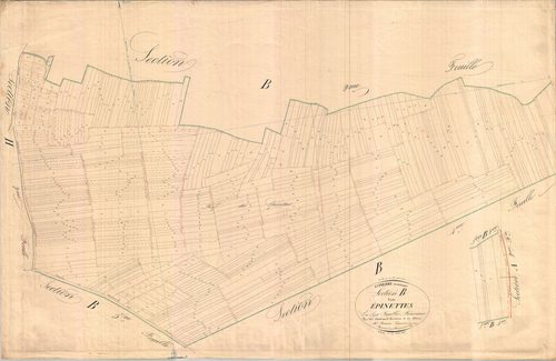 Saint-Pierre-de-Juillers - Section B4 dite des Epinettes.