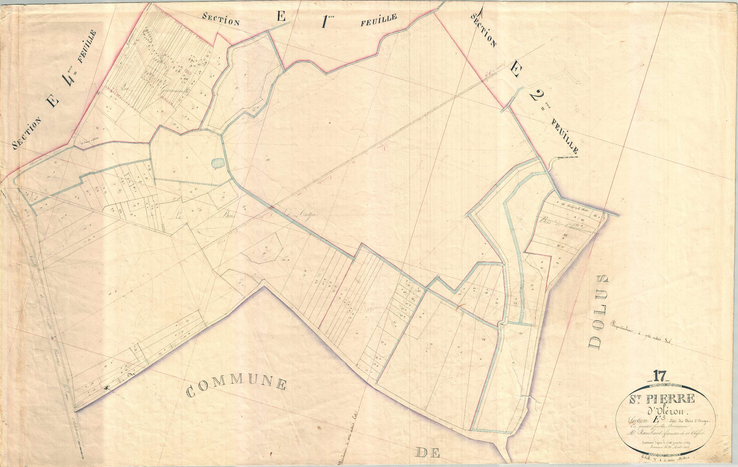 Saint-Pierre-d'Oléron - Section E3 dite du Bois d'Anga.