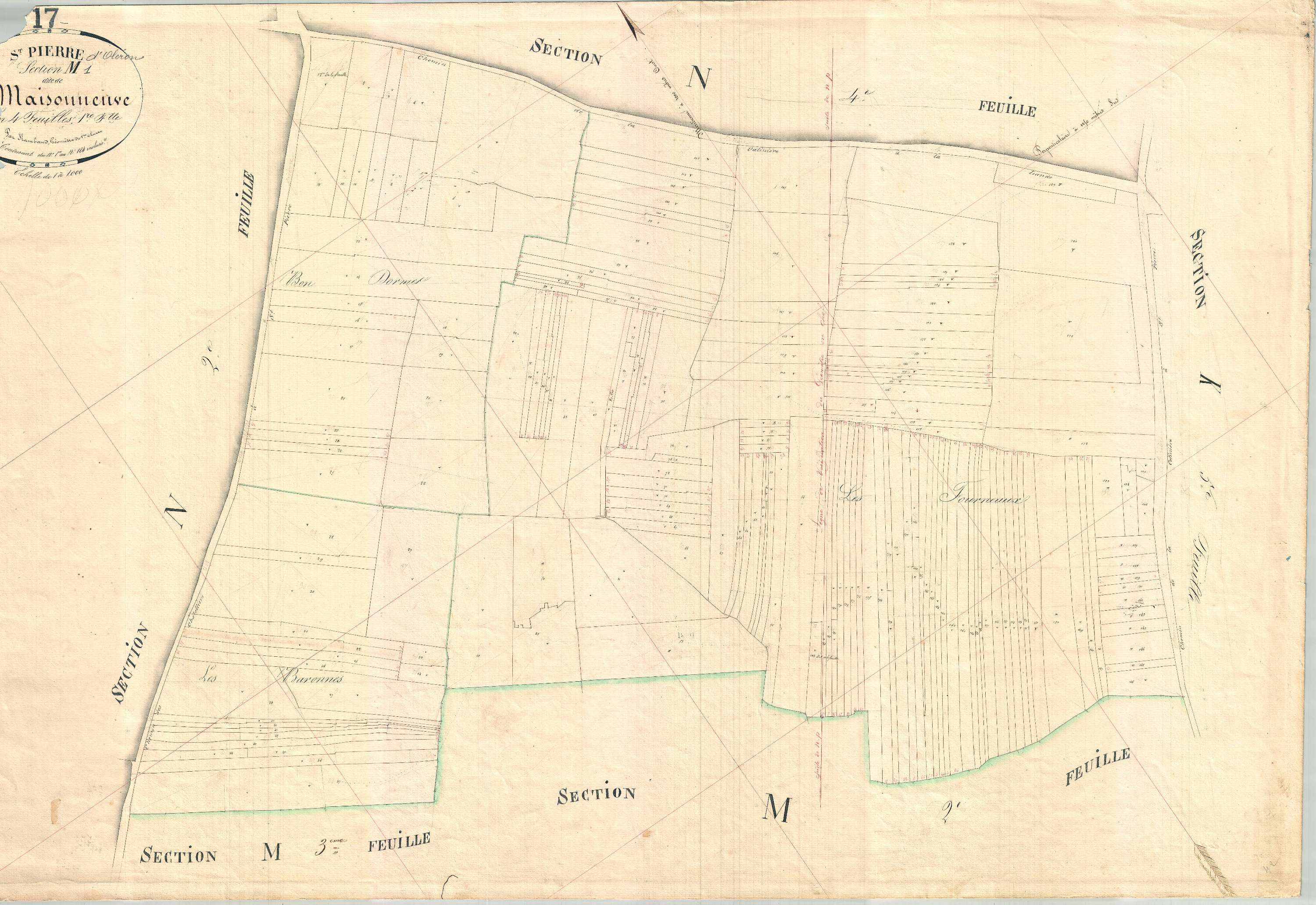 Saint-Pierre-d'Oléron - Section M1 dite de la Maisonneuve.
