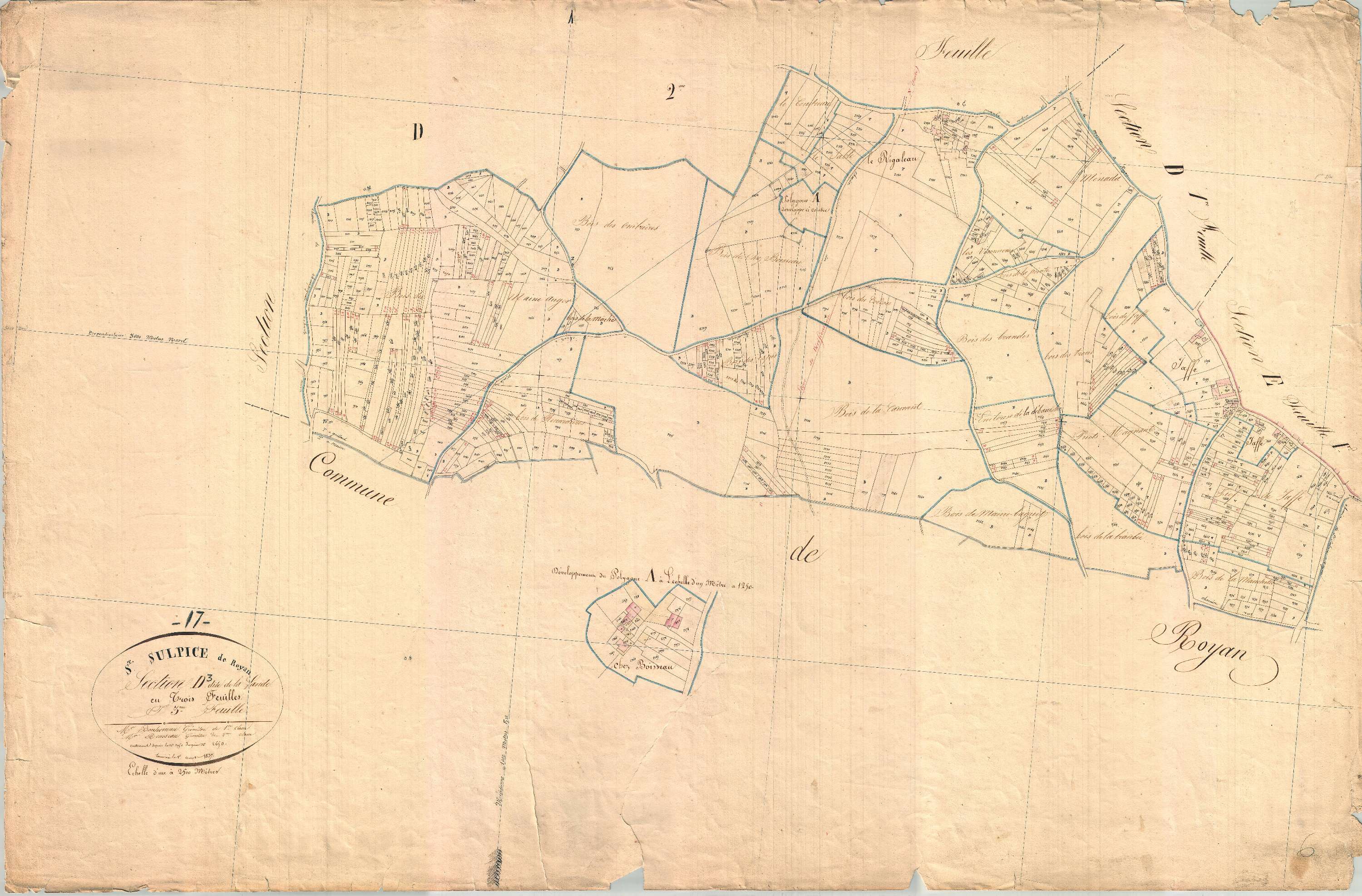 Saint-Sulpice-de-Royan - Section D3 dite de la Lande.