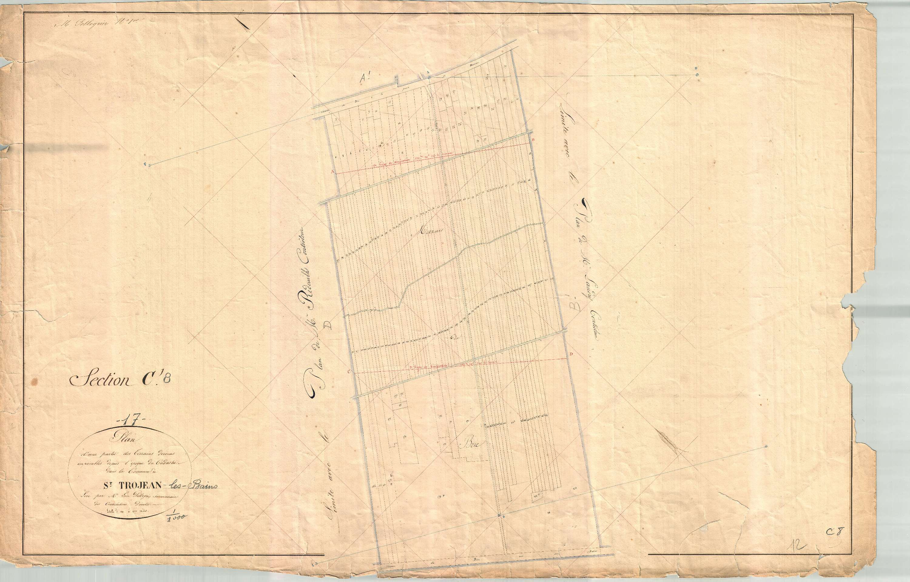 Saint-Trojan-les-Bains - Section C8 (sans nom).