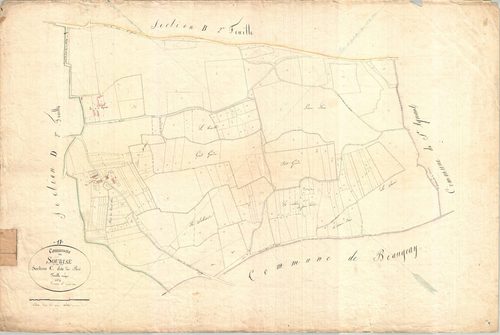 Soubise - Section C dite des Bois.
