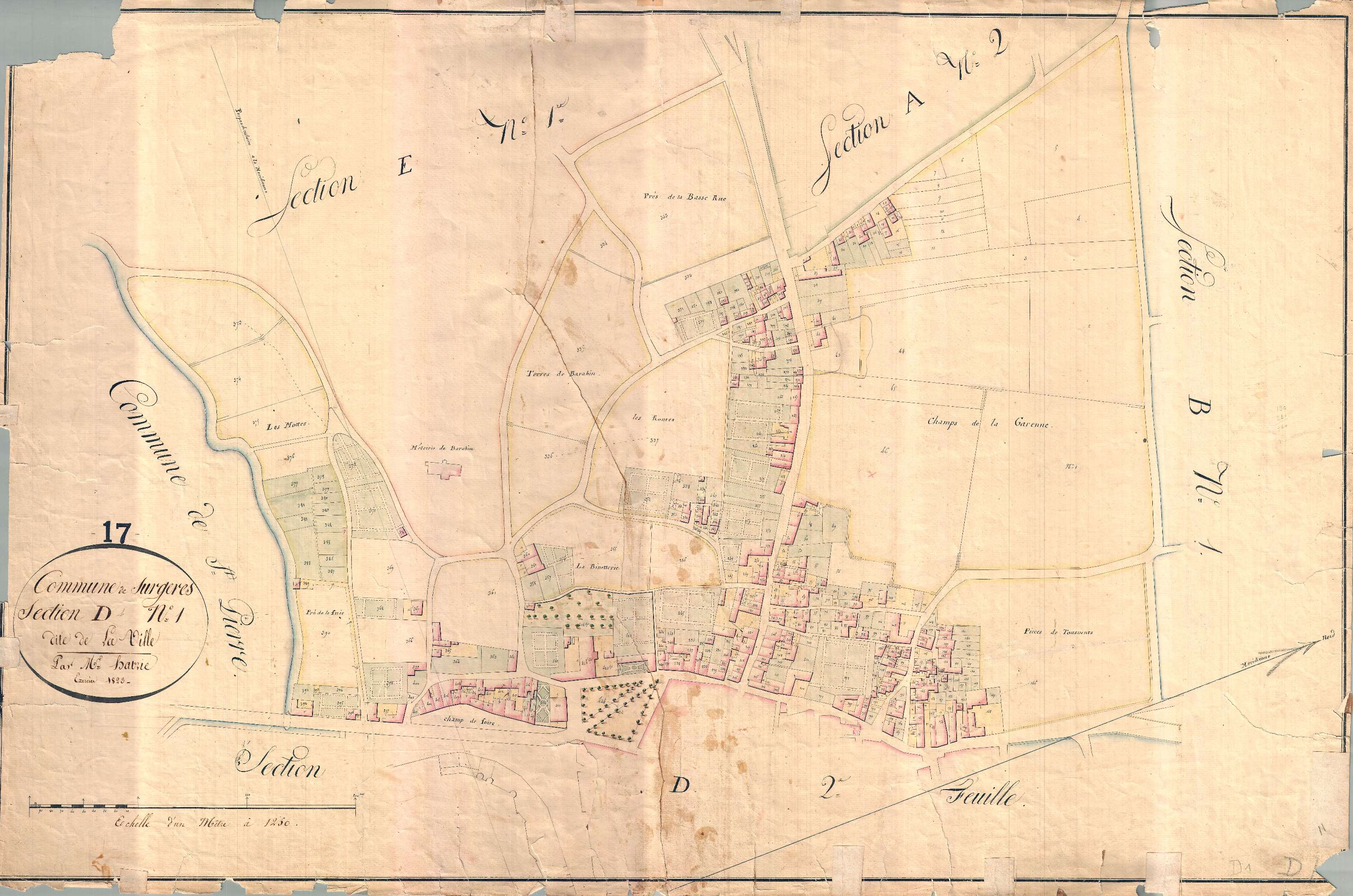 Surgères - Section D1 dite de la Ville.