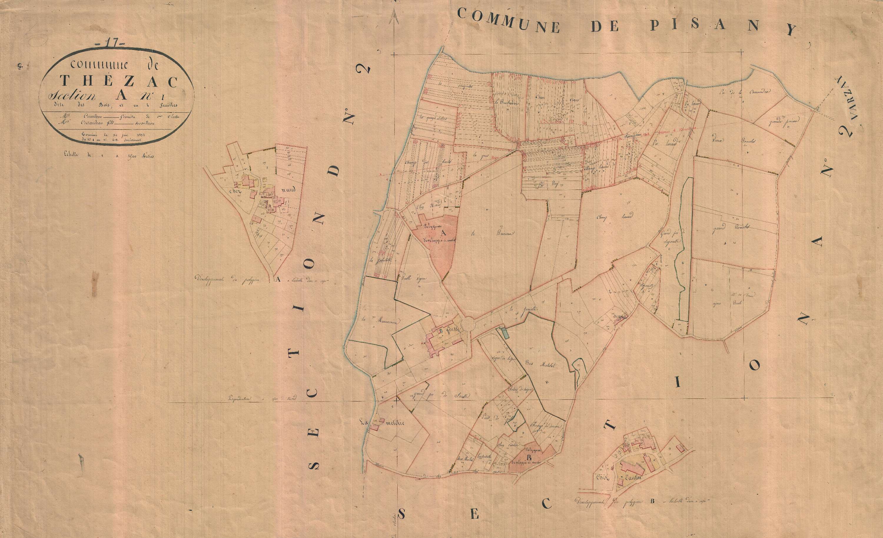 Thézac - Section A1 dite des Bois.