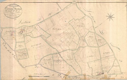 Tonnay-Boutonne - Section D4 dite de l'Abbatis.