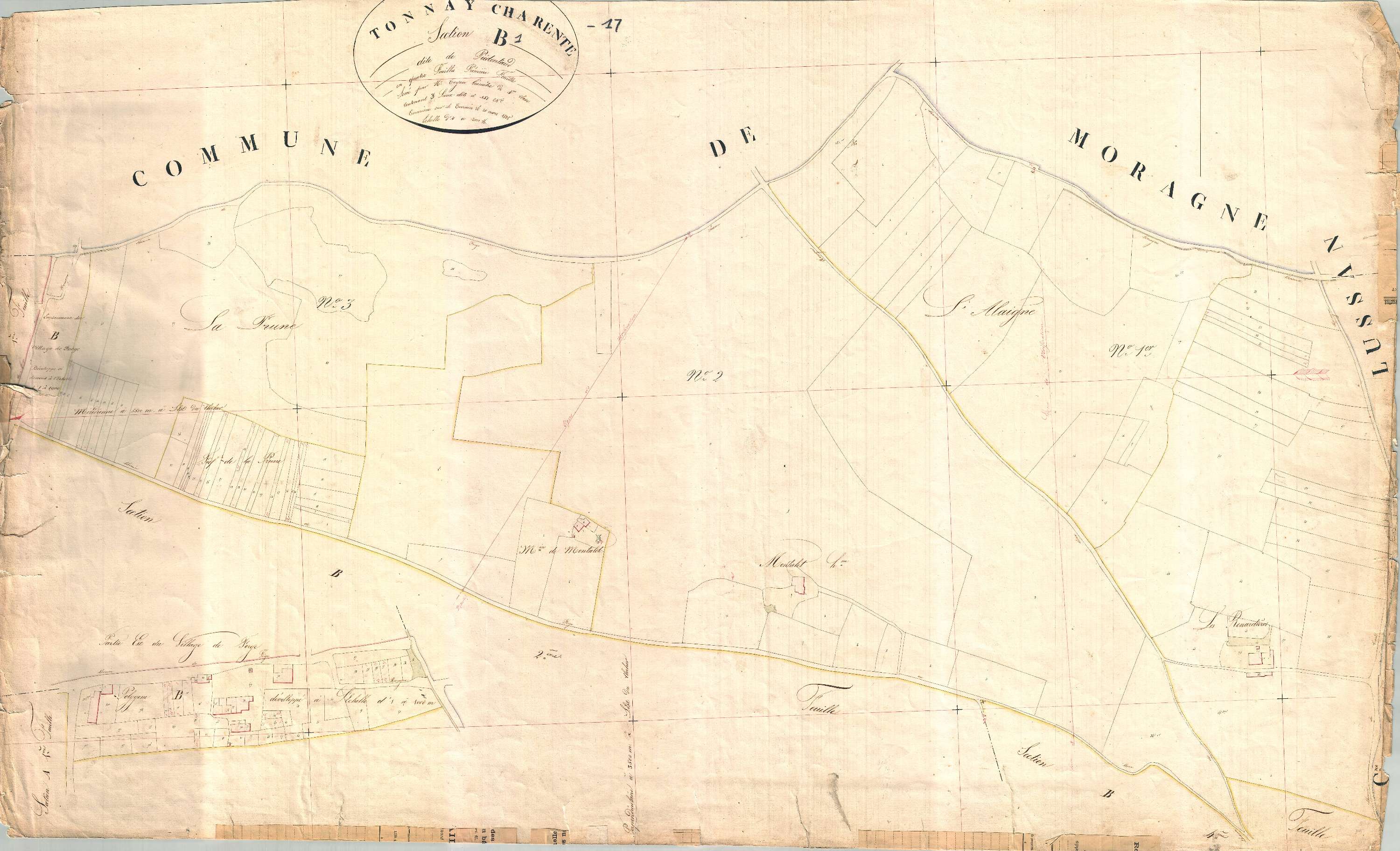 Tonnay-Charente - Section B1 dite de Prédentaud.