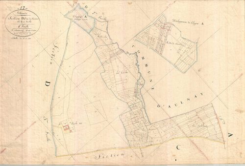 Villemorin - Section D1 dite de Saint-Coutant.