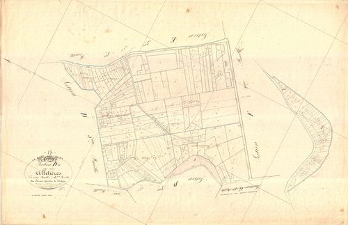 La Brée-les-Bains - Section D1 dite des Alletières.