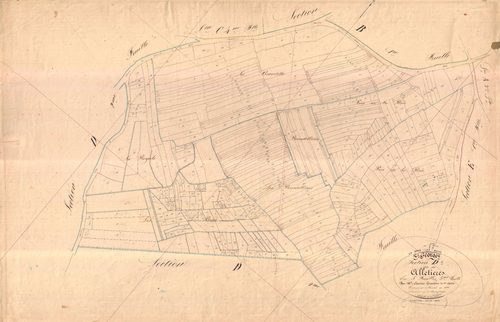 La Brée-les-Bains - Section D1 dite des Alletières.