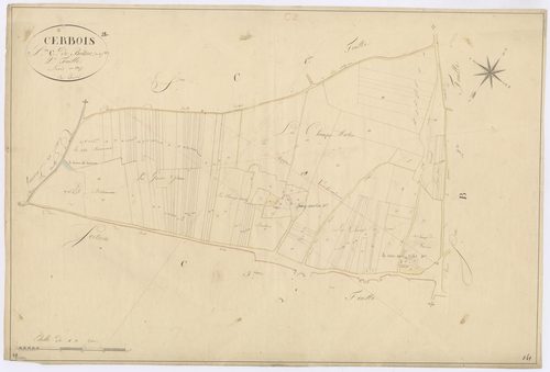 3P 2483/11  Cerbois