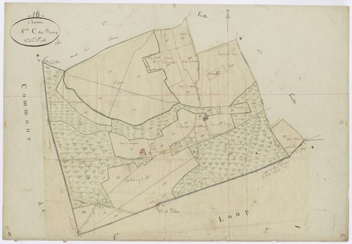 3P 2502/19  Chavannes