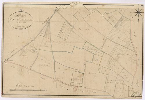 3P 2555/03  Jalognes