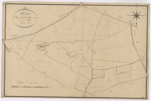 3P 2555/11  Jalognes