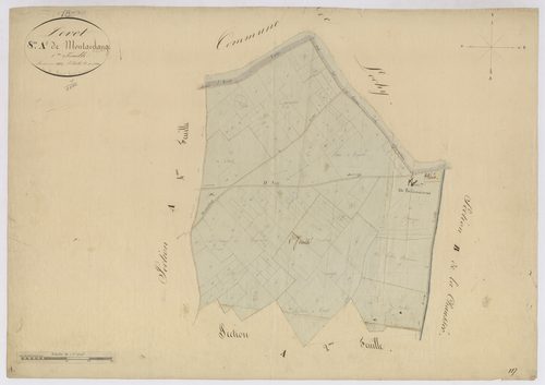 3P 2565/02  Levet