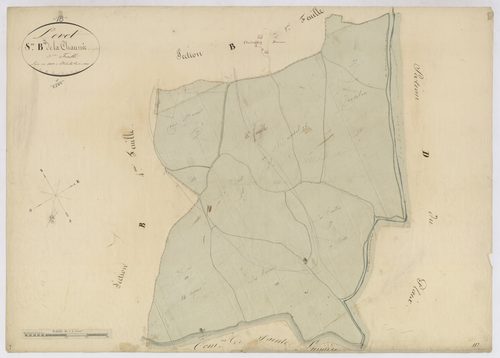 3P 2565/08  Levet