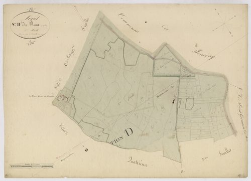 3P 2565/14  Levet