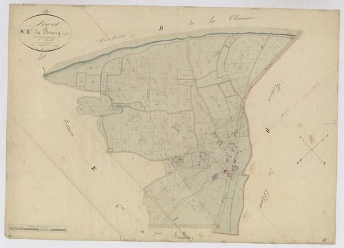 3P 2565/17  Levet