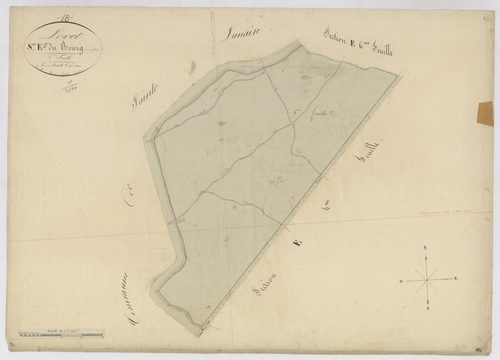 3P 2565/21  Levet