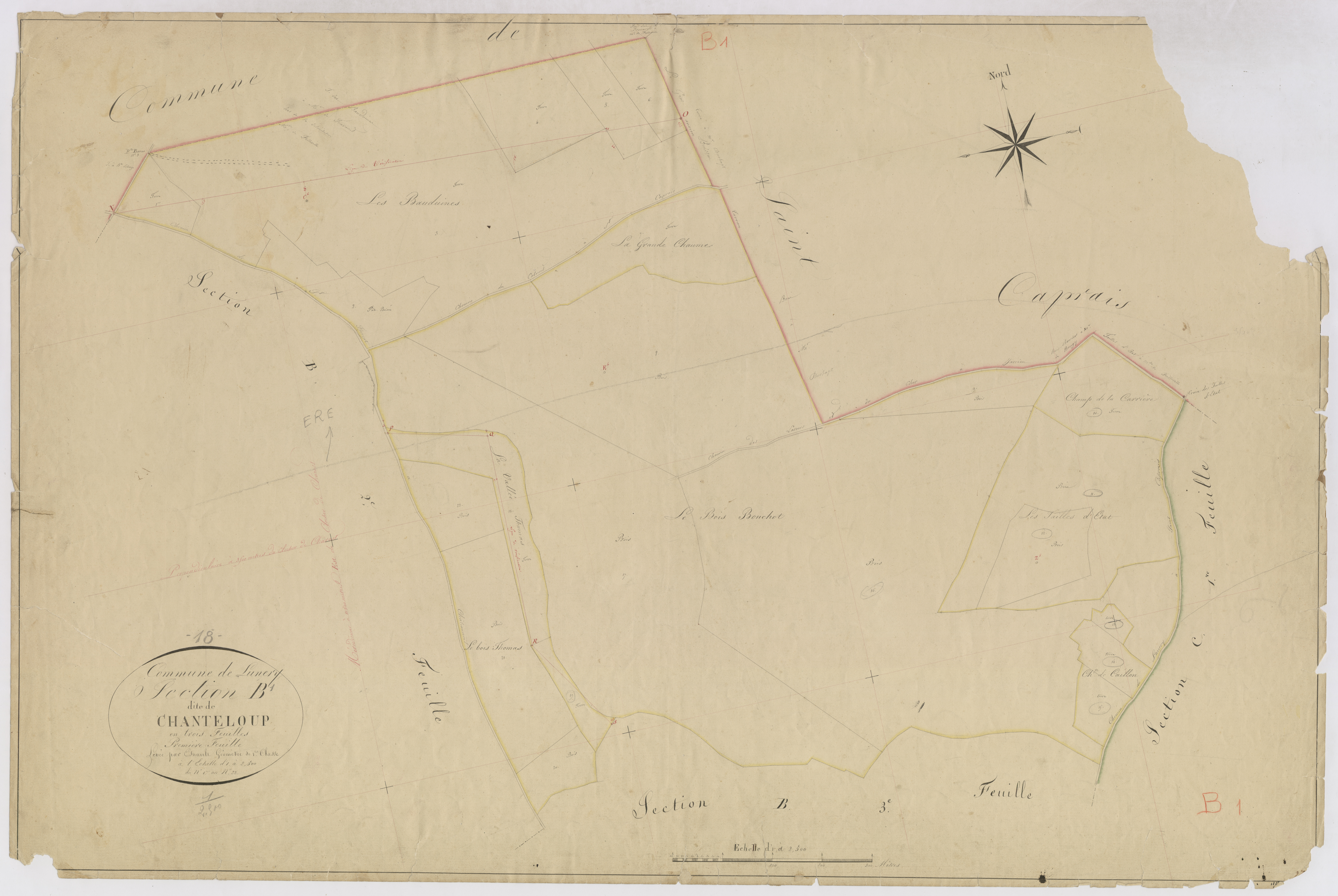 3P 2572/05  Lunery