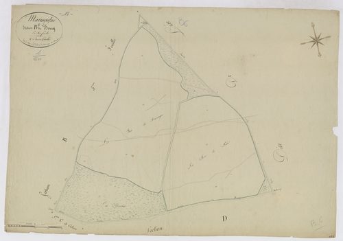 3P 2577/11  Marmagne