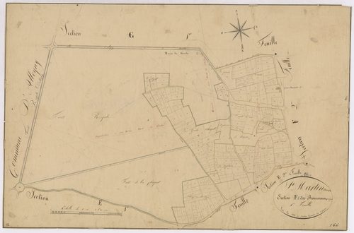 3P 2662/13  Saint-Martin-d'Auxigny