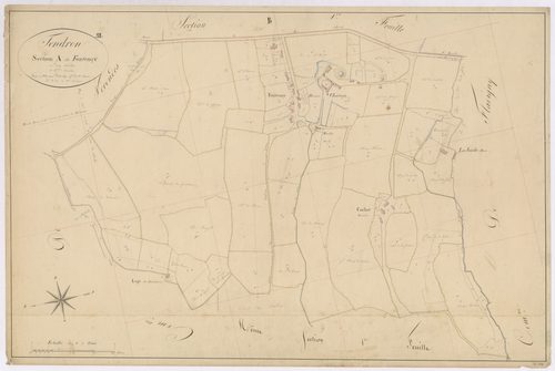 3P 2699/03  Tendron