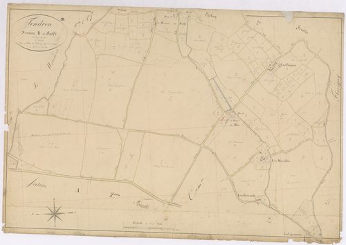 3P 2699/04  Tendron