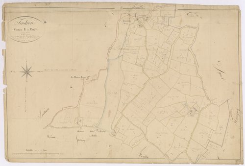 3P 2699/05  Tendron