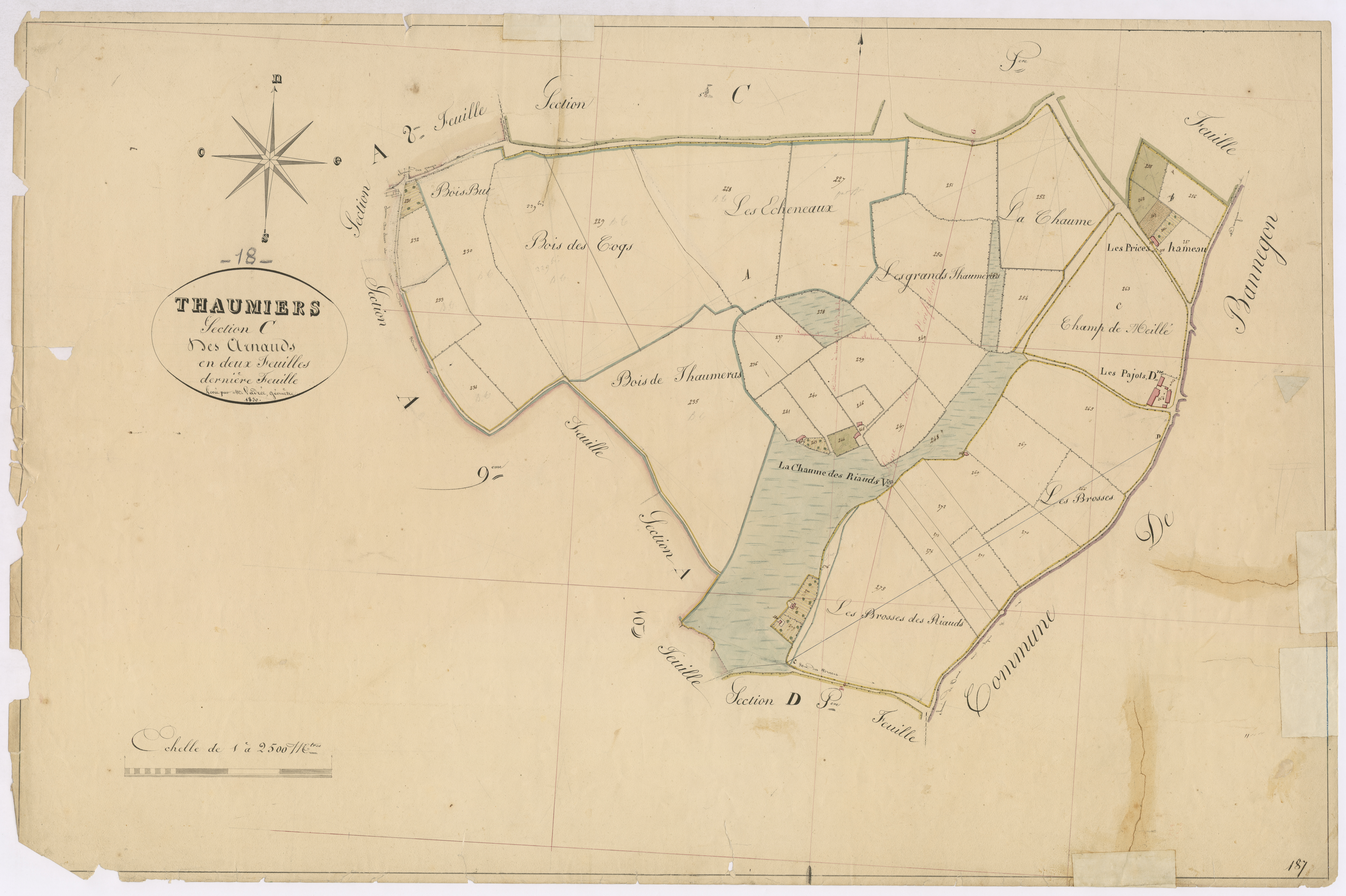 3P 2700/16  Thaumiers