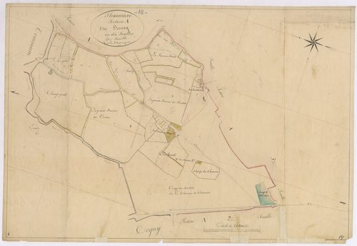 3P 2700/07  Thaumiers