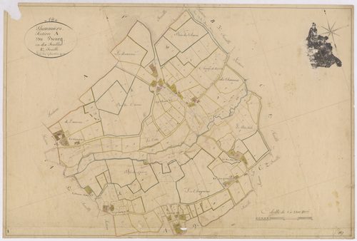 3P 2700/09  Thaumiers