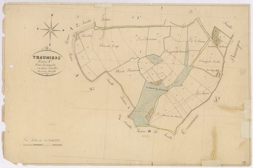 3P 2700/16  Thaumiers