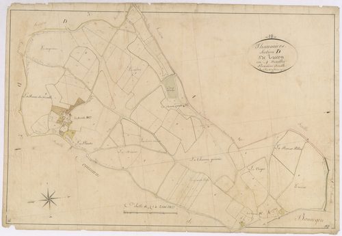 3P 2700/17  Thaumiers