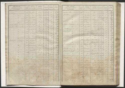 État de section