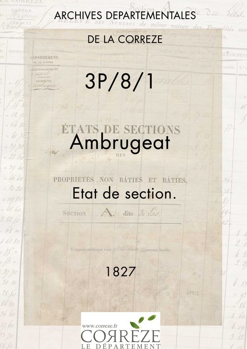 État de section