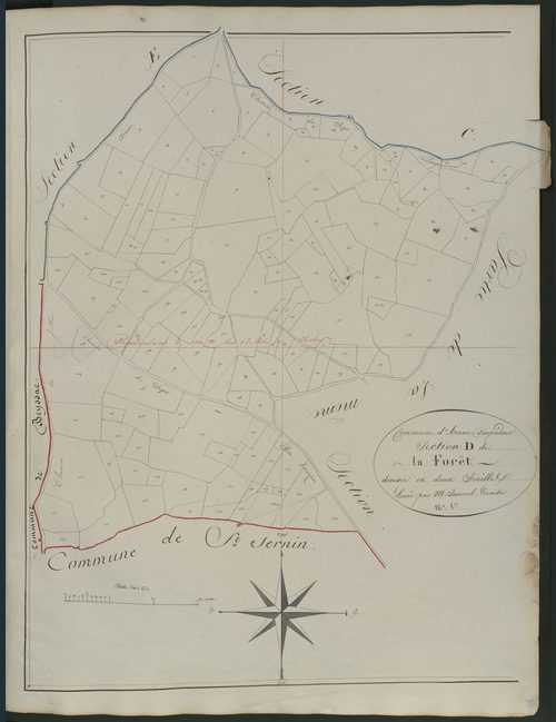 Section D1 de la Forêt