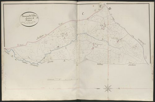 Section D1 du Rieux