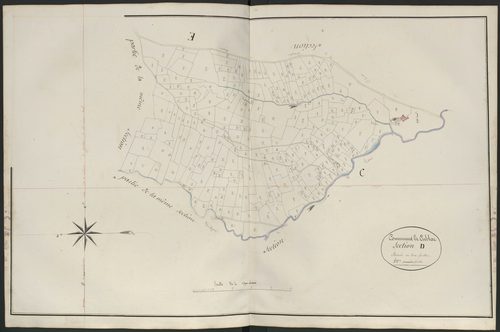 Section D3 du Rieux