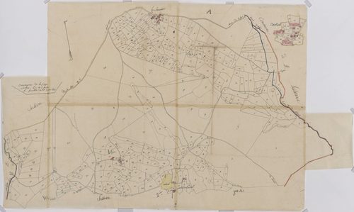 Section C1 de Constant