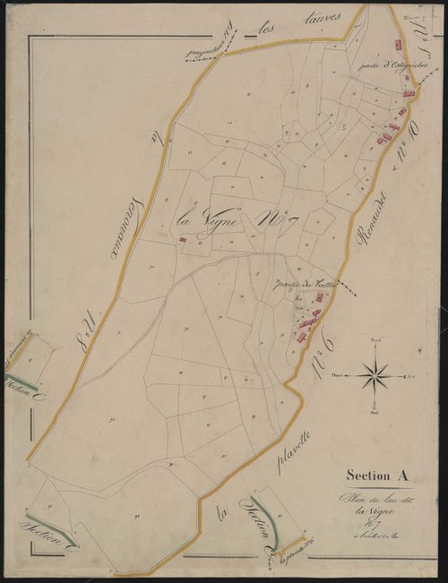 Section A7 de la Vigne