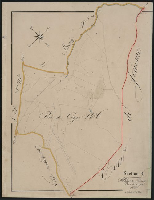 Section C6 du Bois de Cayre